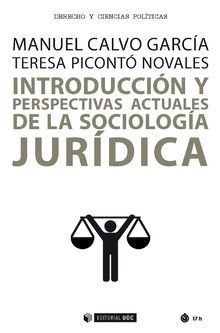 INTRODUCCION Y PERSPECTIVAS ACTUALES SOCIOLOGIA JURIDICA