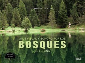 VIAJE VISUAL Y SONORO POR LOS BOSQUES DE ESPAA