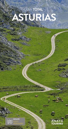 ASTURIAS GUIA TOTAL 2025