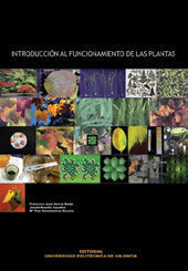 INTRODUCCION AL FUNCIONAMIENTO DE LAS PLANTAS
