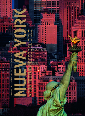 NUEVA YORK ARQUITECTURA DESDE EL CIELO