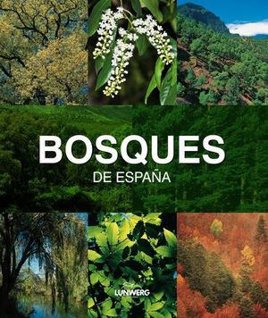 BOSQUES DE ESPAA