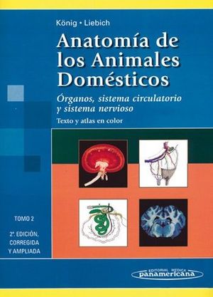 ANATOMA DE LOS ANIMALES DOMSTICOS