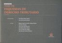 ESQUEMAS DERECHO TRIBUTARIO TOMO VIII 2� ED 2008