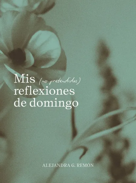 Mis ( no Pretendidas ) Reflexiones de Domingo